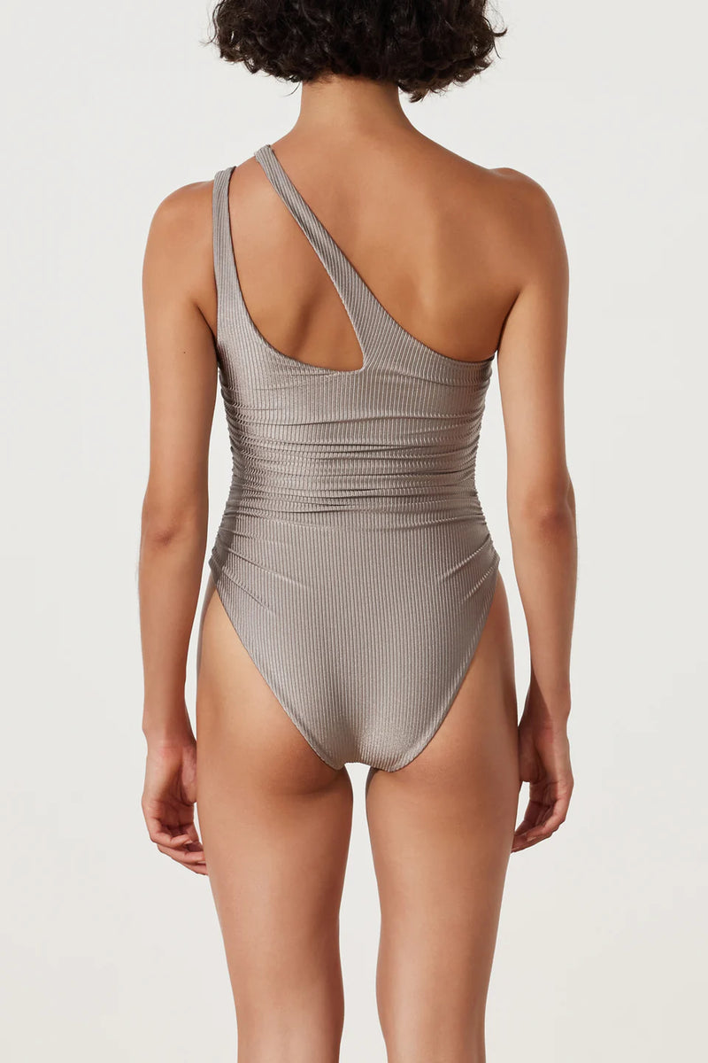 PEWTER RIB ONE PIECE